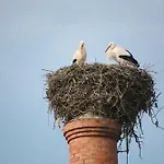 Gasthof Sodre