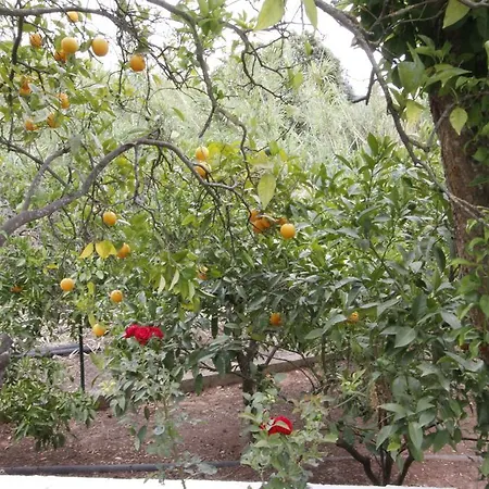 Affittacamere Sodré