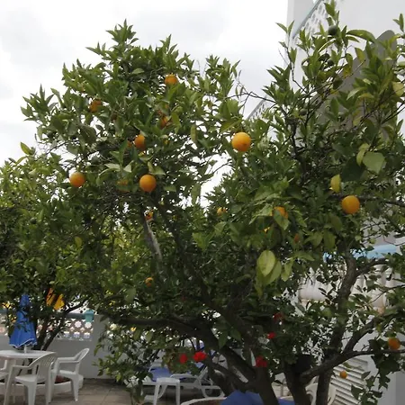 Sodre Πανσιόν