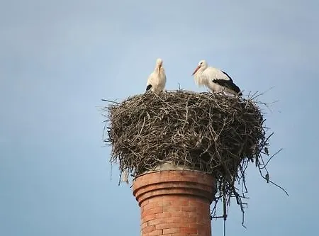 Affittacamere Sodré