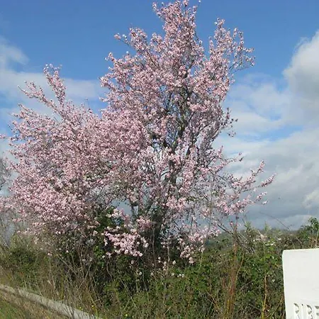 Maison d'hôtes Sodré 3*