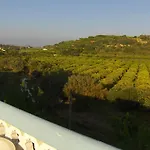 Sodre Silves